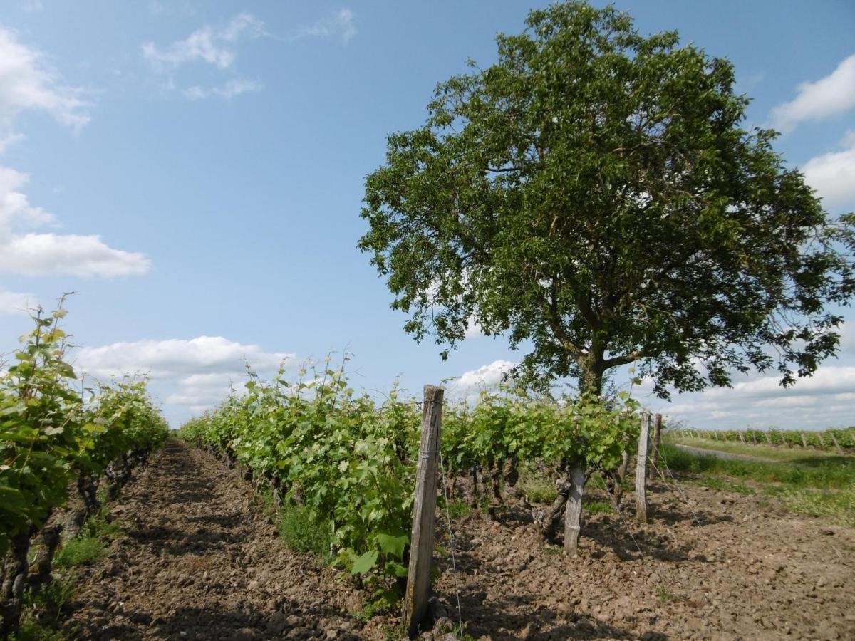 Hotel L'Etape Troglo Vouvray Zewnętrze zdjęcie